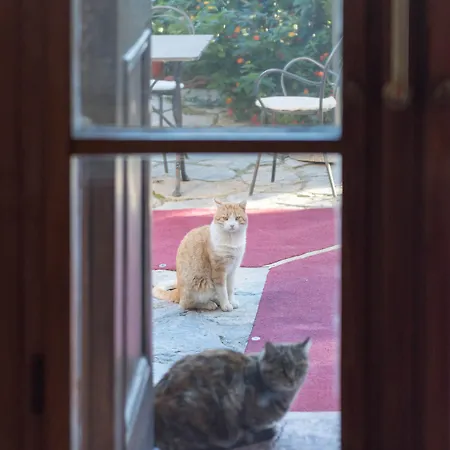 Tenuta La Bandita