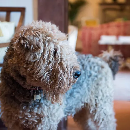 Hotel Tenuta La Bandita Sassetta