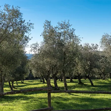 Tenuta La Bandita