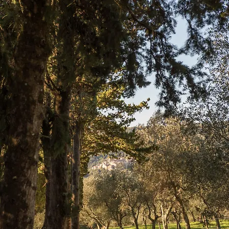 Tenuta La Bandita