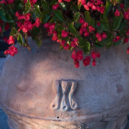 Tenuta La Bandita Sassetta