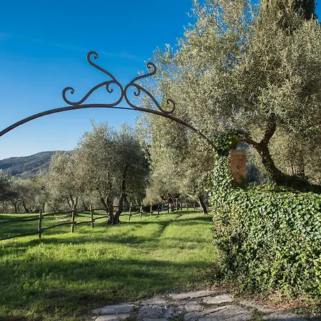 Tenuta La Bandita Sassetta