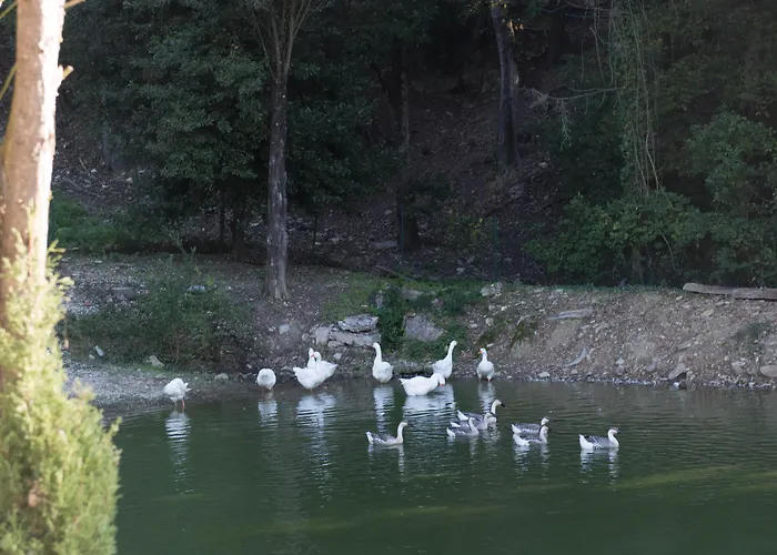 Tenuta La Bandita Otel 3*